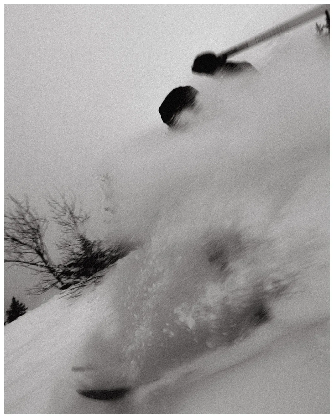 ROSSIGNOL